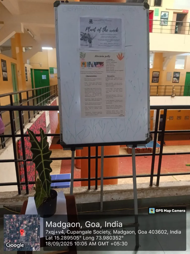 Plant of the Week Initiative